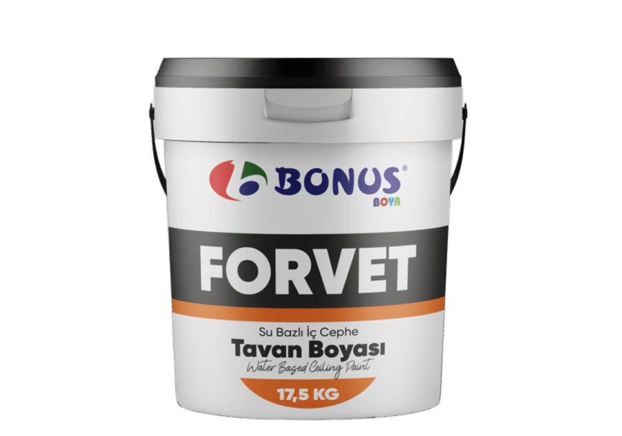 Tavan boyaları
